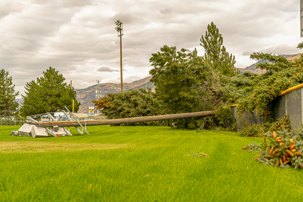 Storm Damage & Emergency