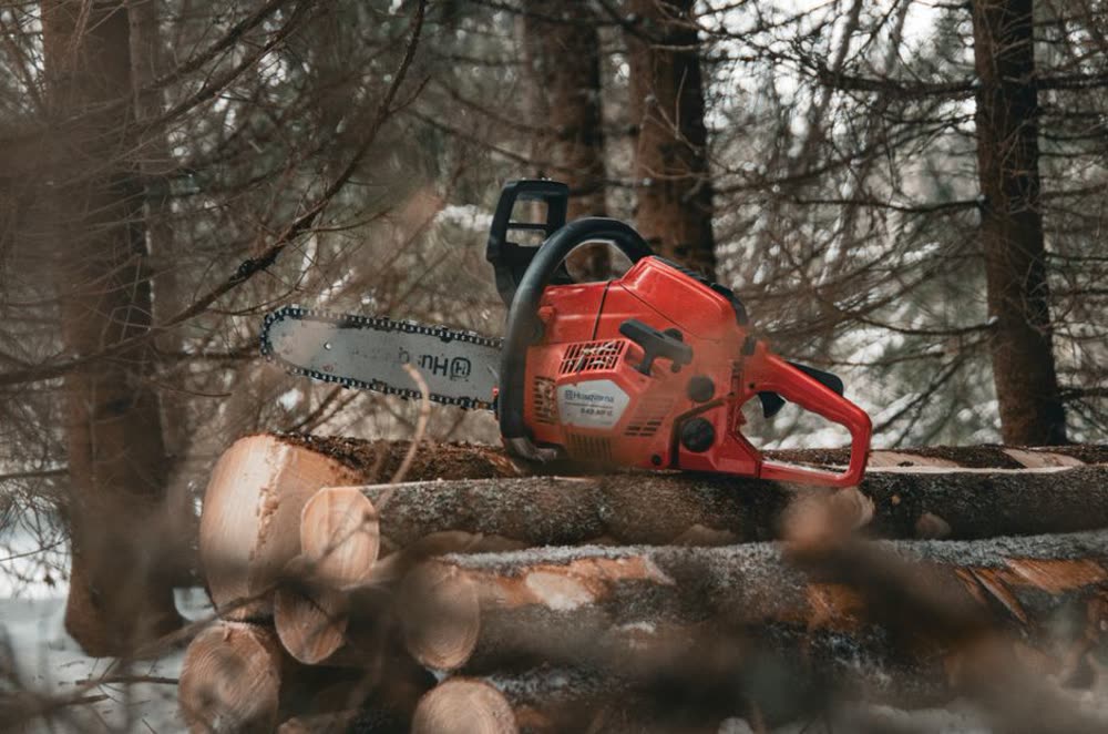 Storm damage cleanup